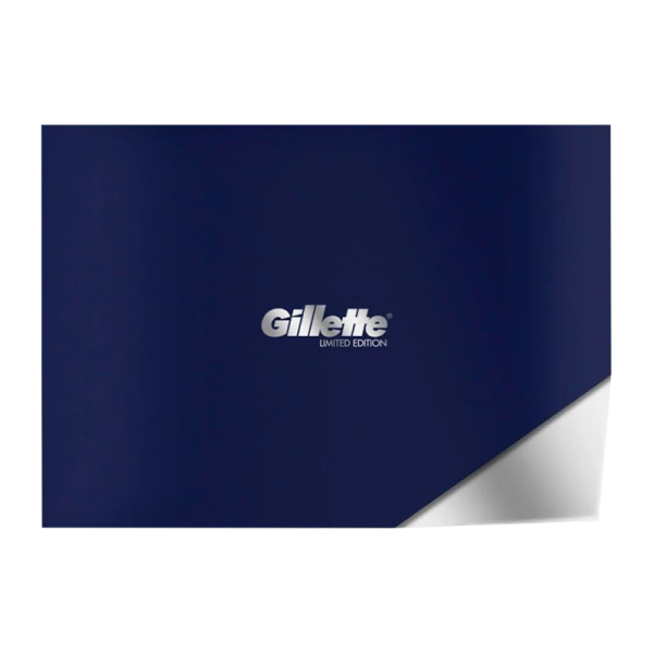 Набор Gillette Fusion5 Proshield Chill экслюзив (1/6)