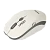 Мышь беспроводная Smartbuy 344CAG ONE классическая USB с зарядкой от USB белый серый (1/40)