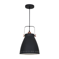 Светильник потолочный Camelion PL-428L New York 60W 230V E27 подвес черный медный (1/6)