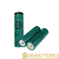 Аккумулятор для ирригатора FDK NIMH AA 1.2В, АА с короткими пинами