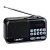 Радиоприемник Perfeo ASPEN 3W пластик microSD USB/Jack3.5 черный (1/10)
