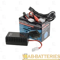 Зарядное устройство ROBITON SmartHobby 8  Ni-Cd и Ni-MH акк. собрки из 2-8 элементов, 1А / 2А