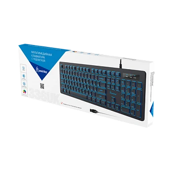 Клавиатура проводная Smartbuy 336 классическая USB черный (1/20)